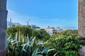 Property grounds - Paradiso Playa Apart Hotel (Valeria del Mar)