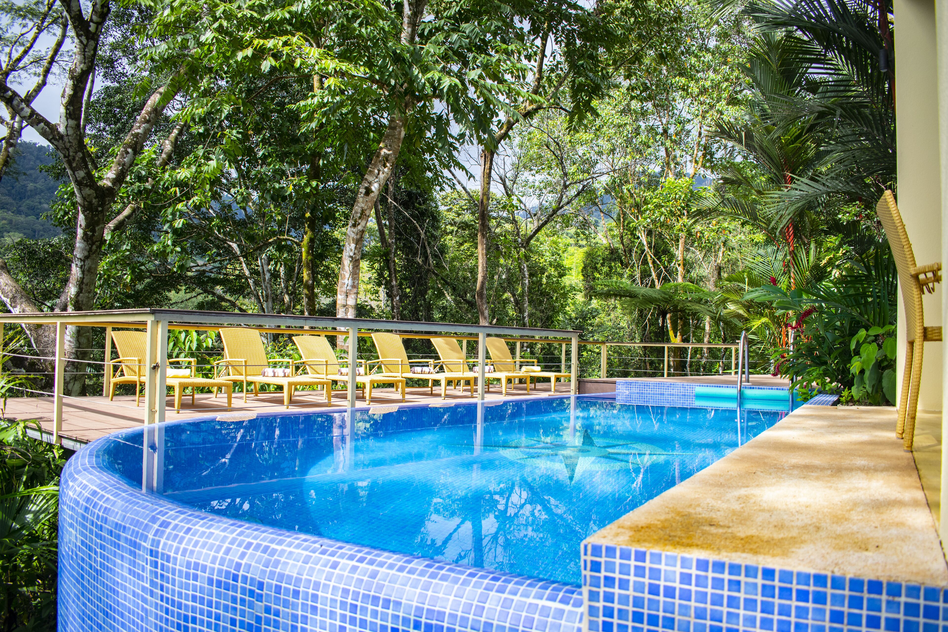 A swimming pool with blue tiled edges, surrounded by yellow lounge chairs and a covered deck.