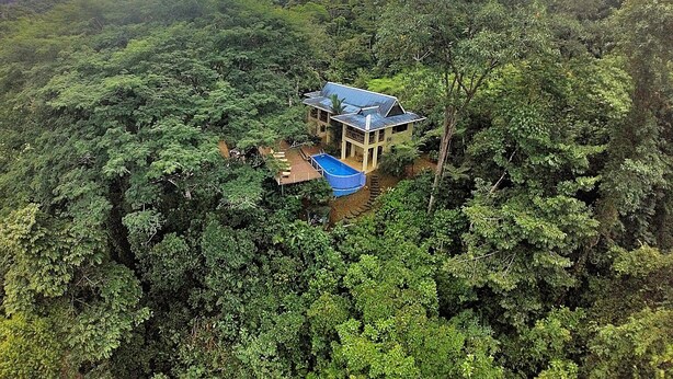 Une maison entourée d’une forêt dense, dotée d’une piscine et d’un patio couvert.