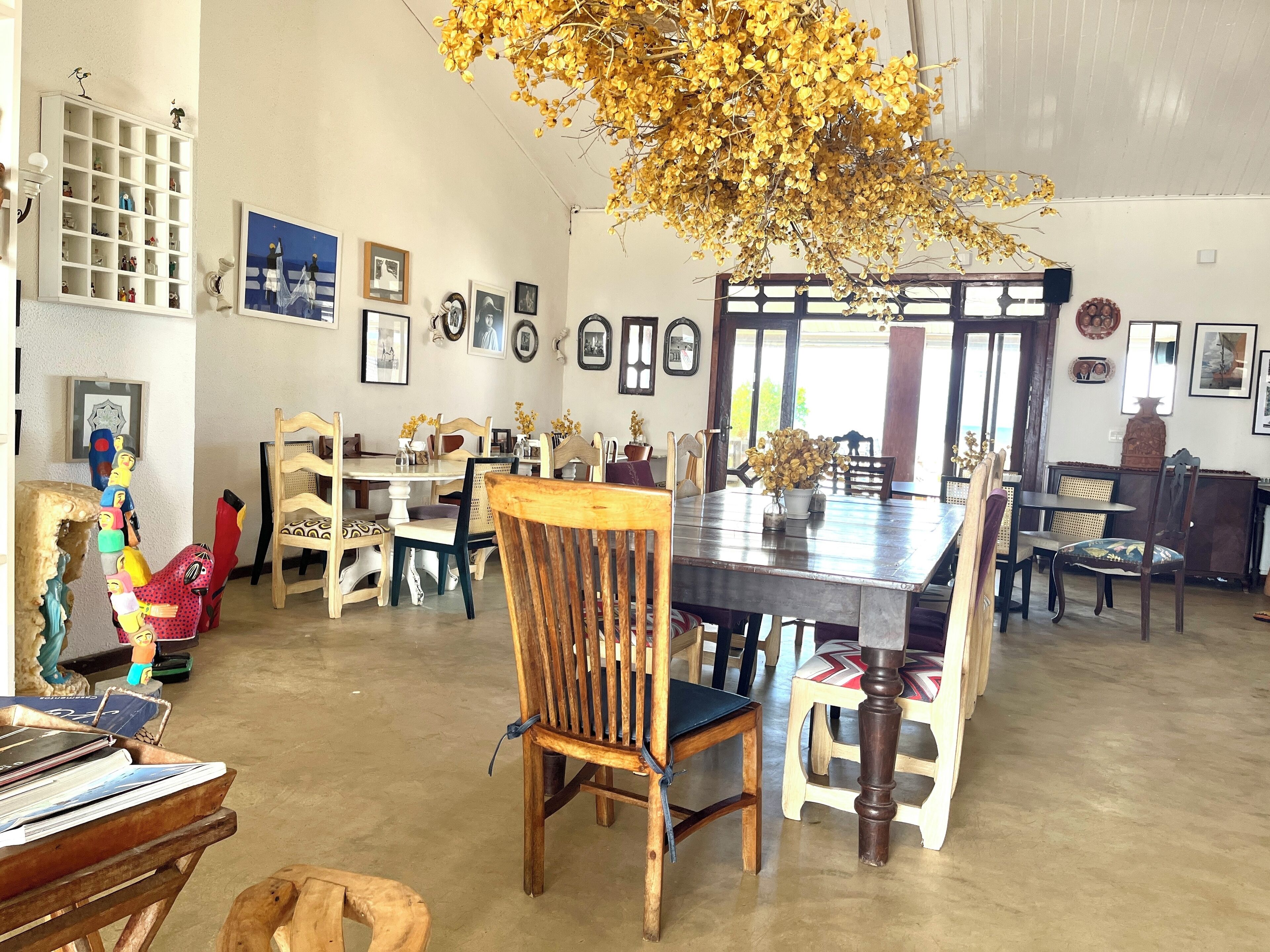A dining area with a large wooden table, multiple chairs, and a hanging golden plant.
