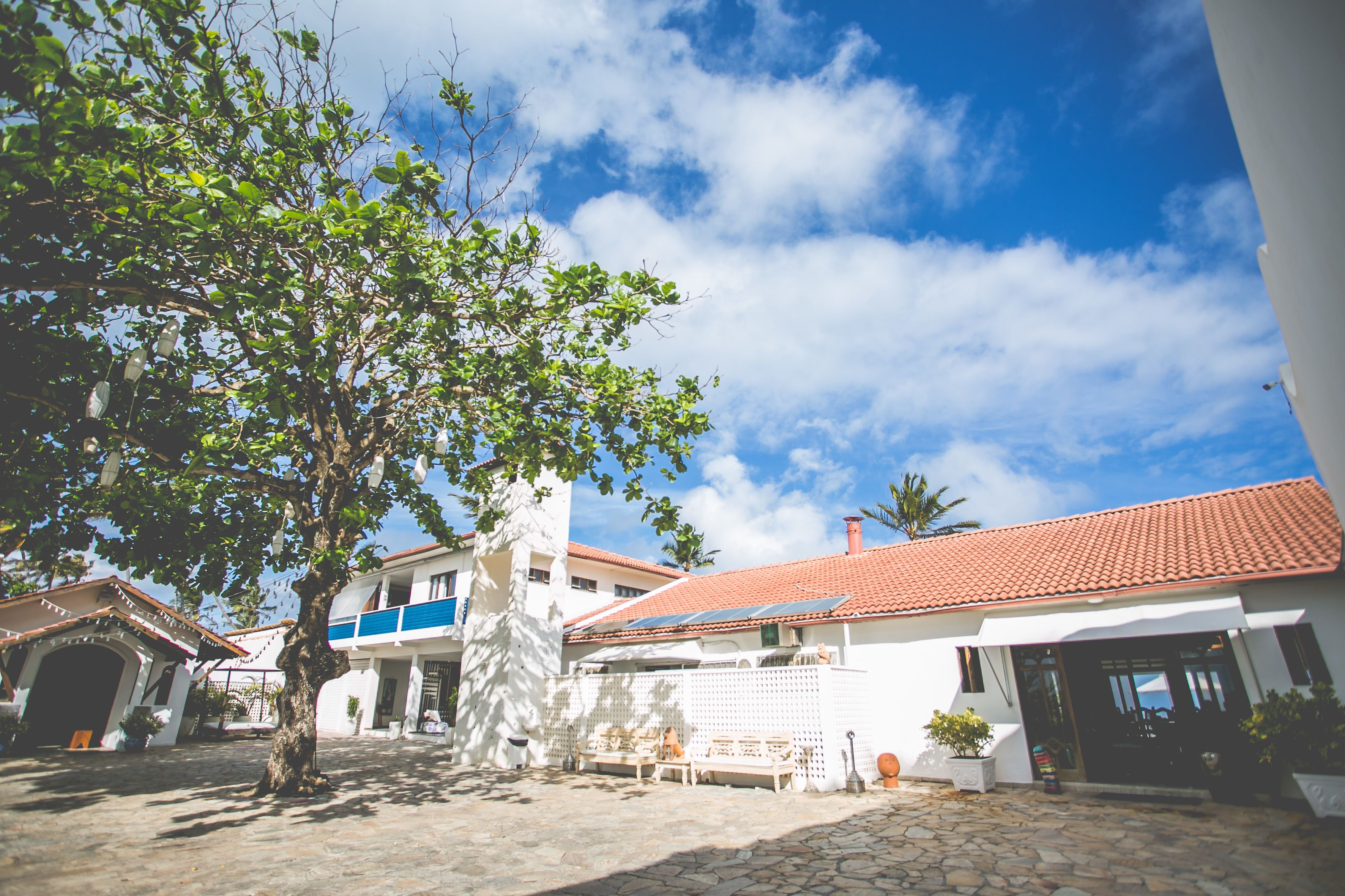 A courtyard with a tree, stone pathway, and buildings with red-tiled roofs.