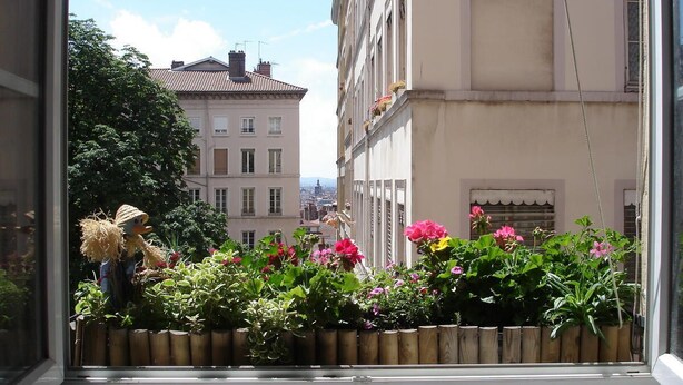 Una ventana con vista a un edificio y una maceta con flores.
