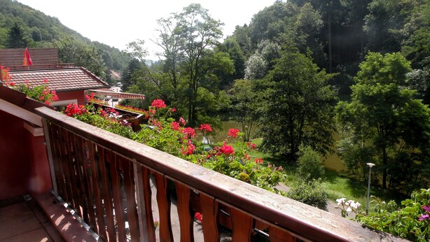 View from property - Logis Hotel Au Floridor (Thann)