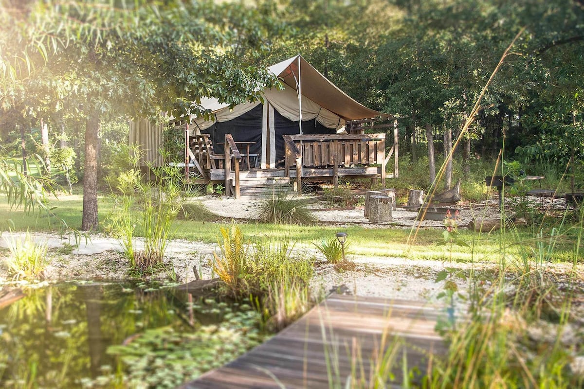 A rustic wooden deck leading to a tented accommodation with a pond and greenery in the background.