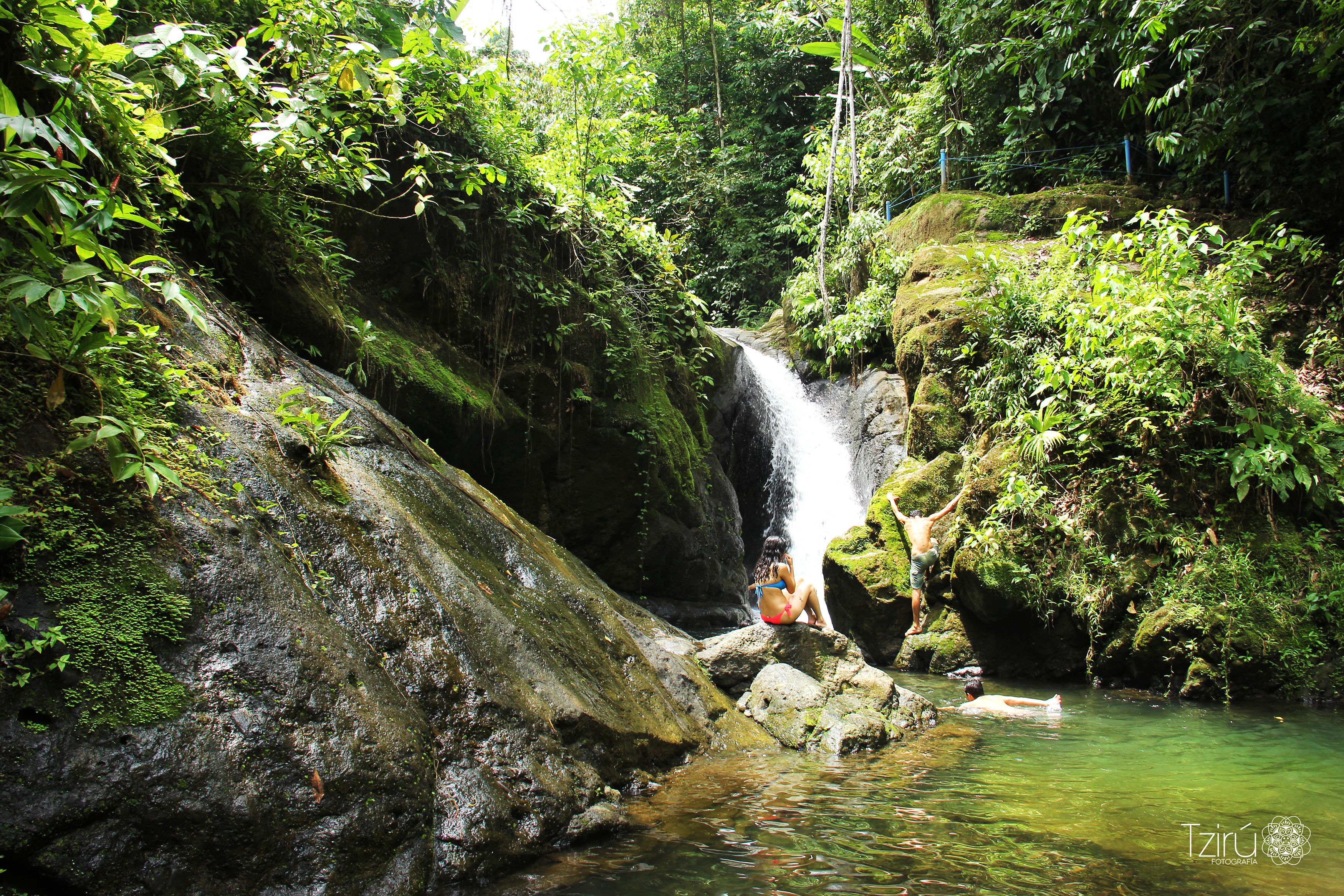 A natural waterfall surrounded by lush greenery.
