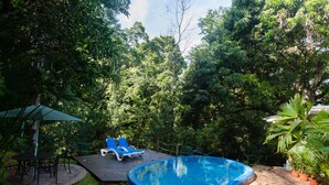 A backyard with a swimming pool, lounge chairs, and a patio area surrounded by lush greenery. - Casa Cedro - Portasol Vacation Rentals (Savegre)