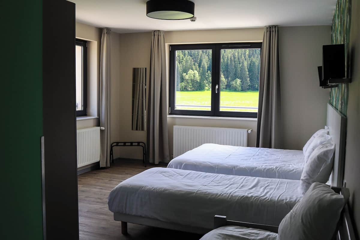 Habitación de hotel con dos camas, un ventanal amplio con vistas a un paisaje verde, una lámpara de techo y un radiador.