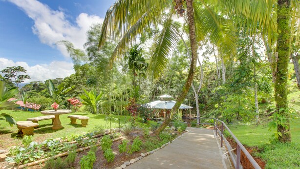A garden pathway with a concrete walkway, surrounded by lush greenery and palm trees. - Valley of Dreams Eco Lodge Room (Barú)