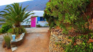 A pathway leading to a building with a pink door, surrounded by greenery and a stone wall. - Villette Adonis (Andros)