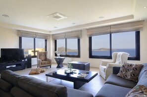 TV, fireplace, DVD player