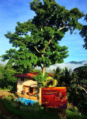 Uma grande árvore em frente a um edifício com uma placa que diz "Valley of Dreams".