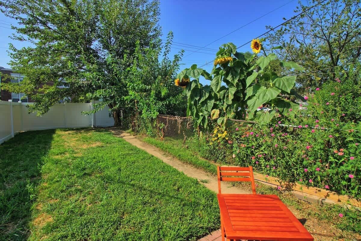 A garden with a lawn, a wooden bench, and a large sunflower plant.