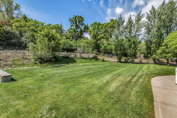 A well-maintained grassy backyard with a stone wall, trees, and a concrete patio.