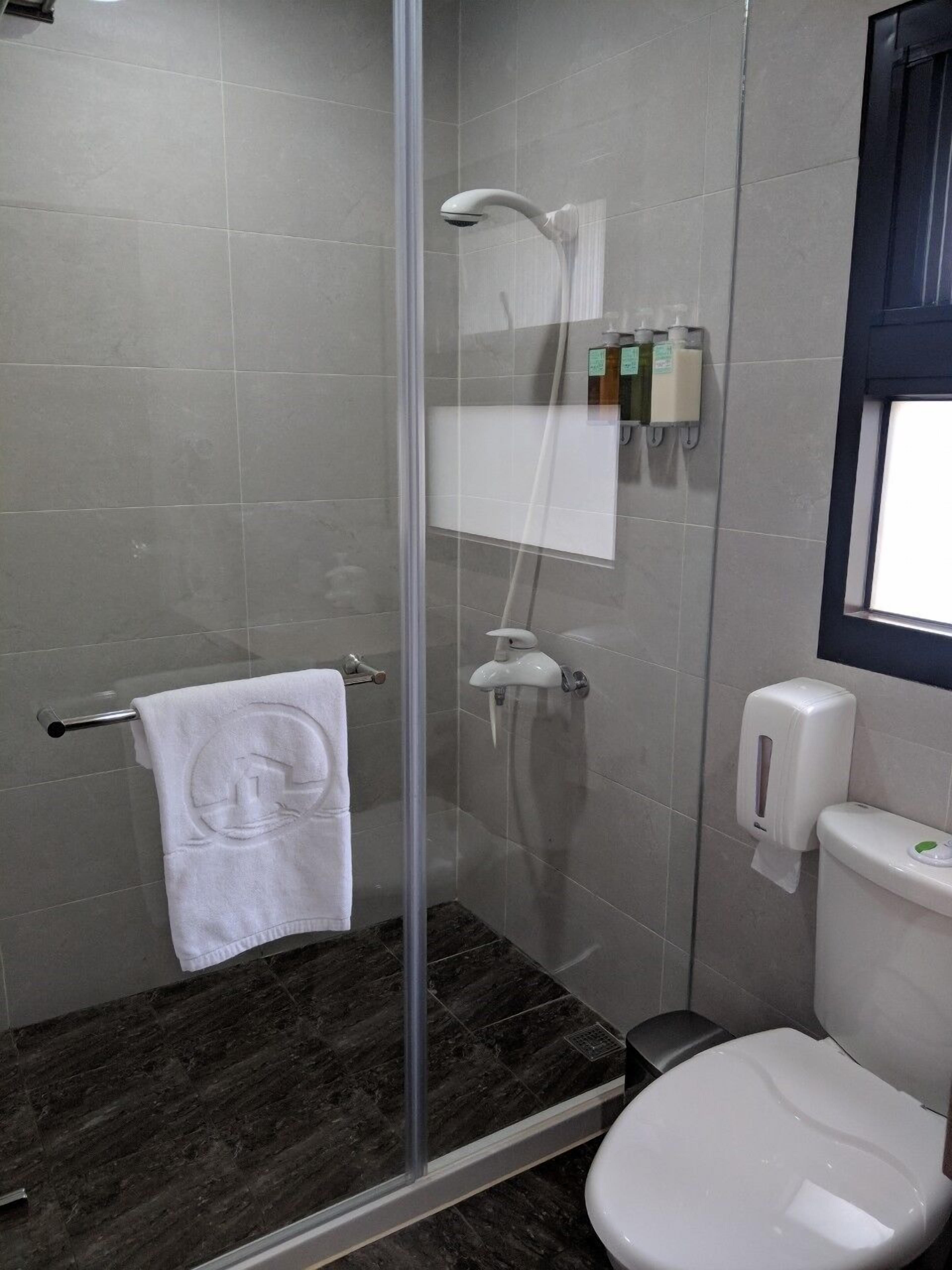 A modern bathroom with a glass-enclosed shower, a toilet, and a towel rack.