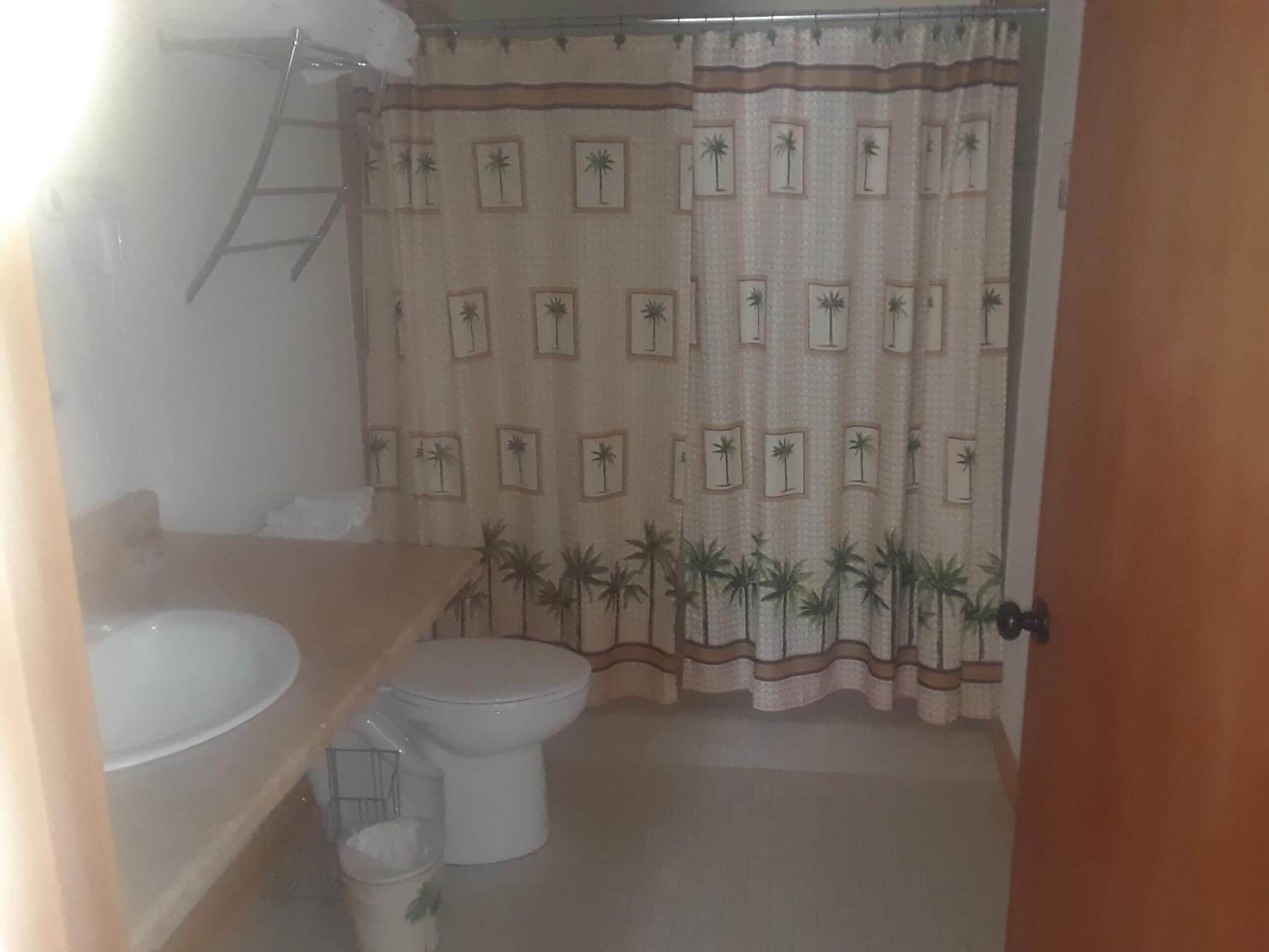 Combined shower/bathtub, free toiletries, towels