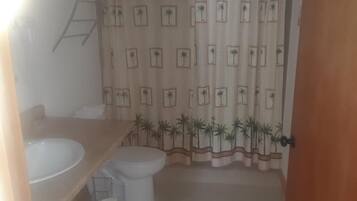 Combined shower/bathtub, free toiletries, towels
