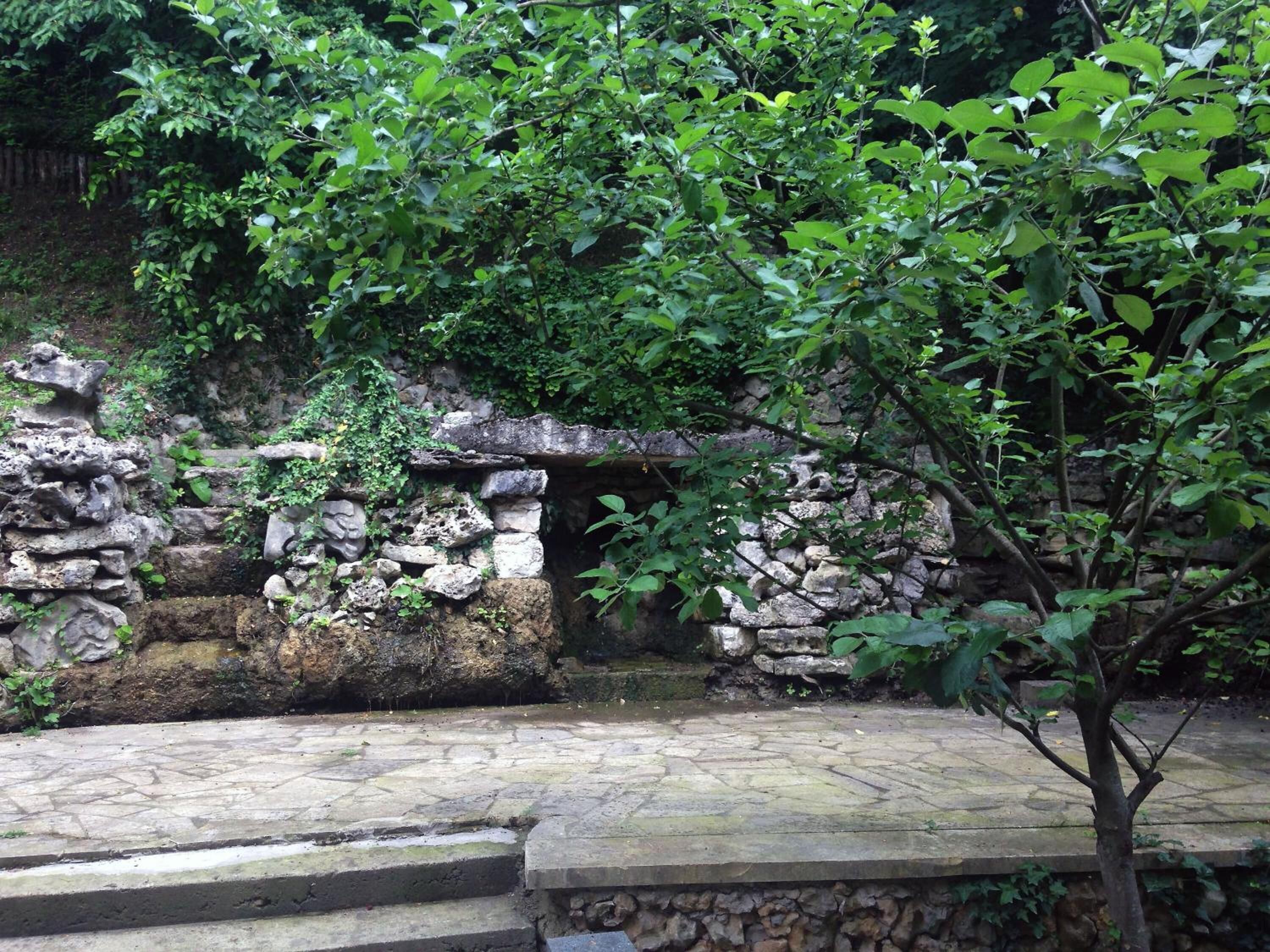 Foto - Center Villa Kutaisi