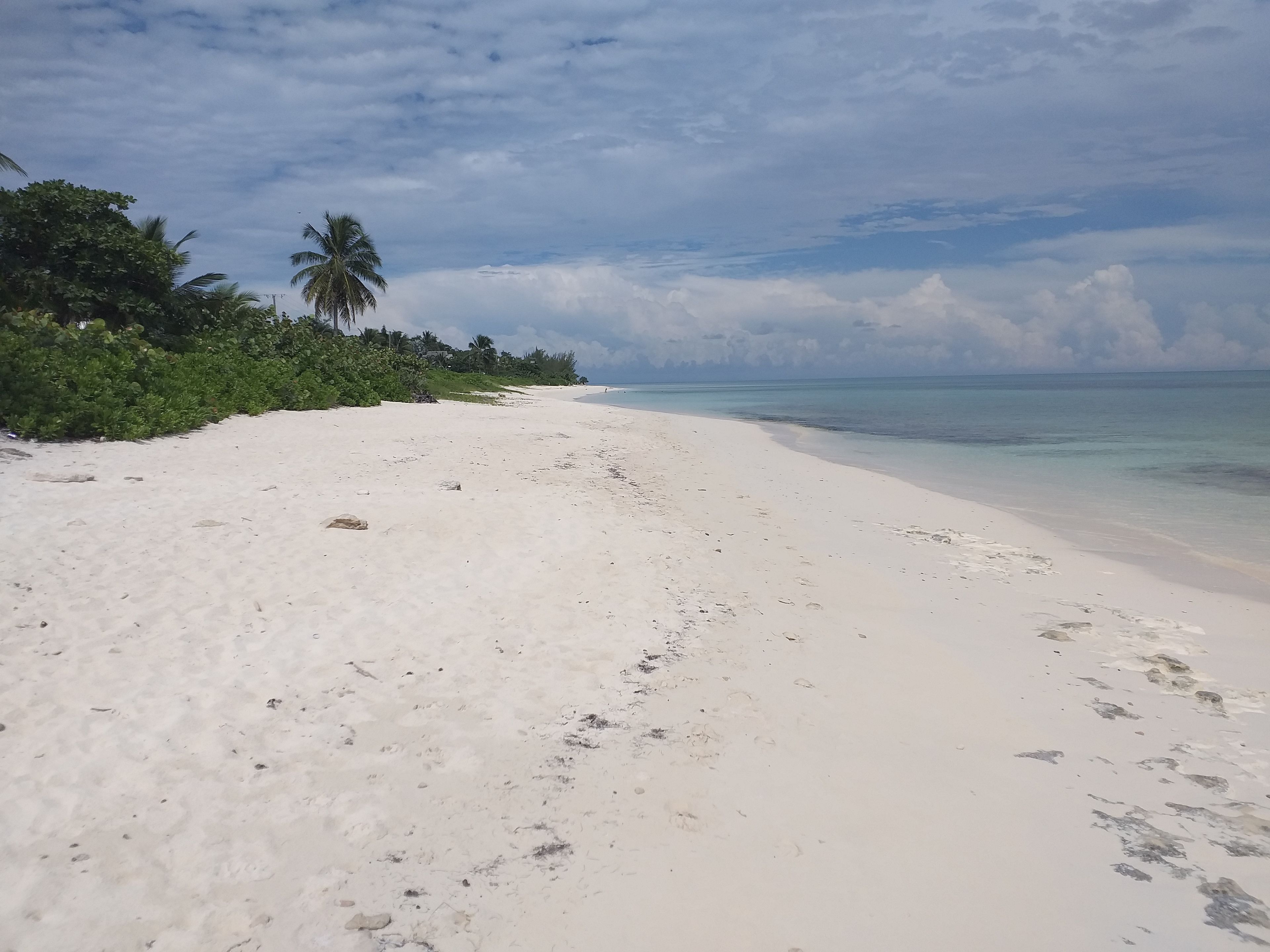 Plage à proximité, sable blanc