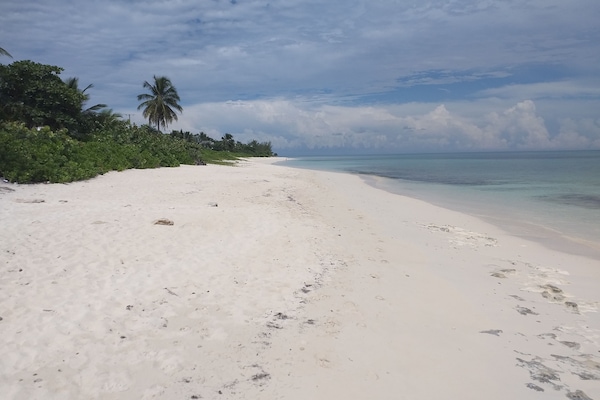 Gần bãi biển, cát trắng