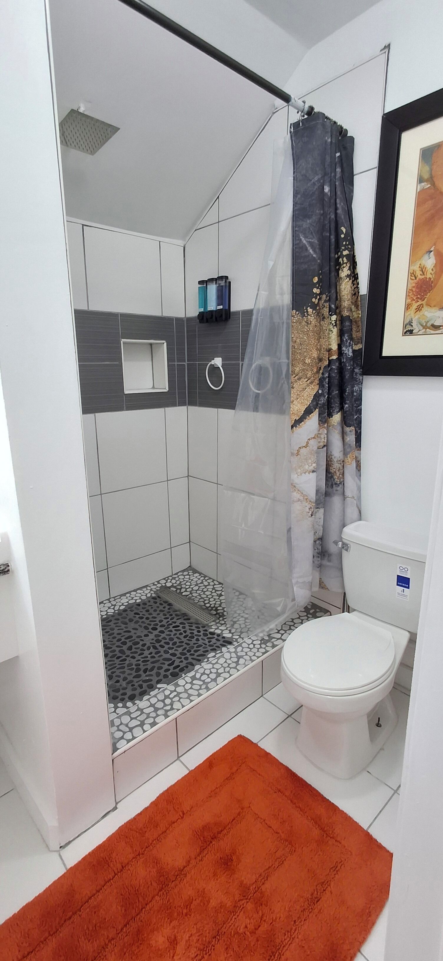 A modern bathroom with a glass-enclosed shower, a white toilet, and a framed artwork on the wall.