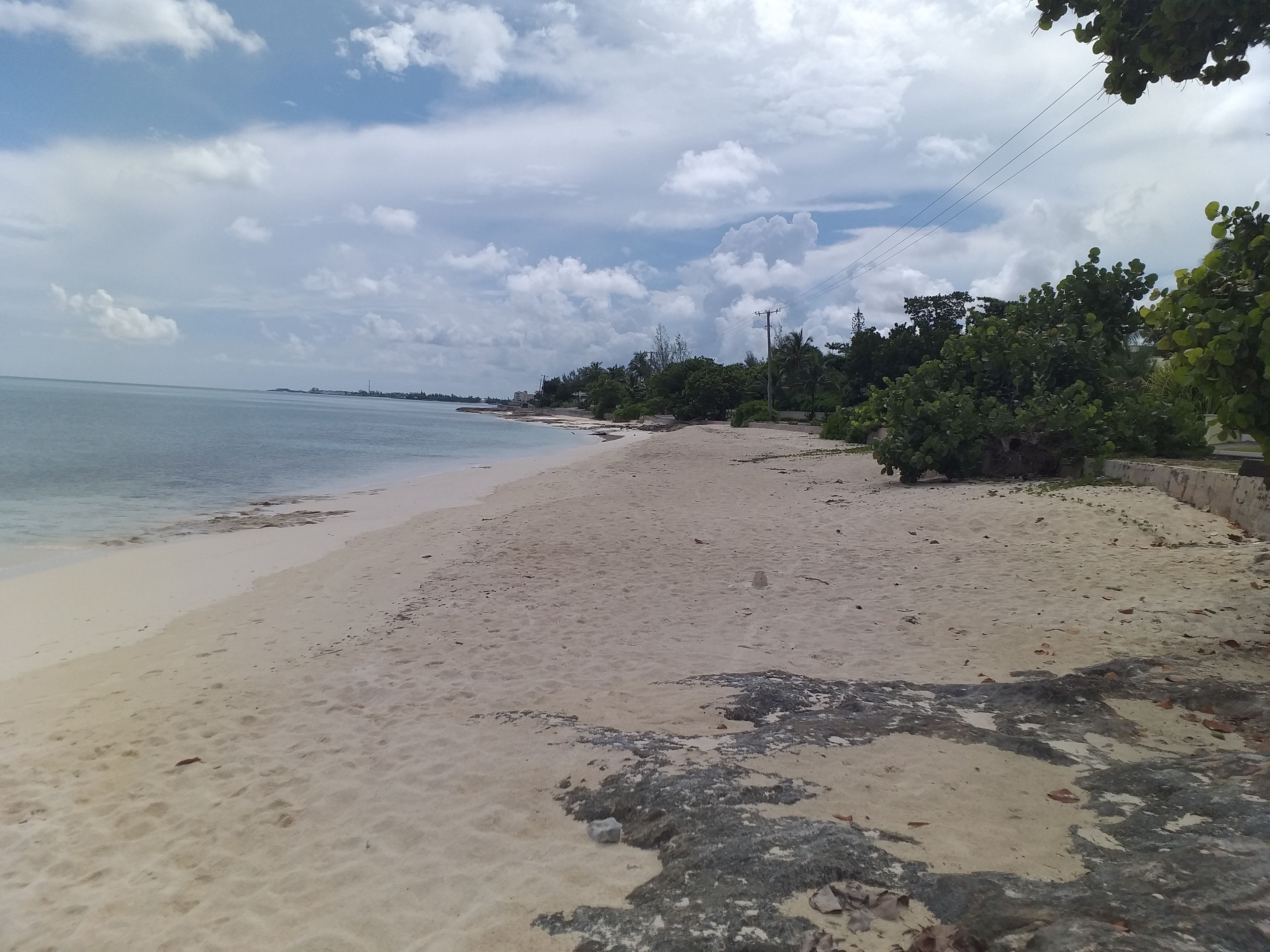 A beach with a sandy shore, a clear sky, and some vegetation along the edge.