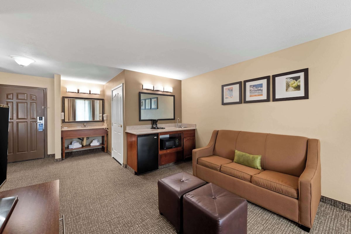Suite, 1 chambre, non-fumeur, cuisine (Living Room with Sofa Bed)