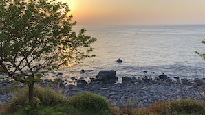 A rocky shoreline with a tree in the foreground and the ocean in the background. - Condominium Seafront Moon and Sand (Ito)