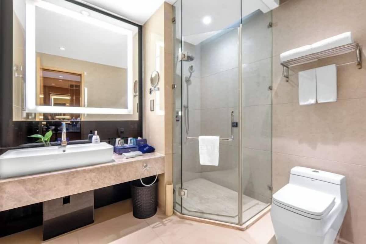 Cabezal de ducha tipo lluvia, artículos de tocador gratuitos