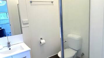 A bathroom with a glass-enclosed shower, a white sink, and a toilet.