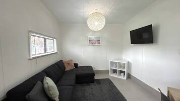 A modern living room with a dark grey sectional sofa, a grey rug, a white shelving unit, and a ceiling light fixture.