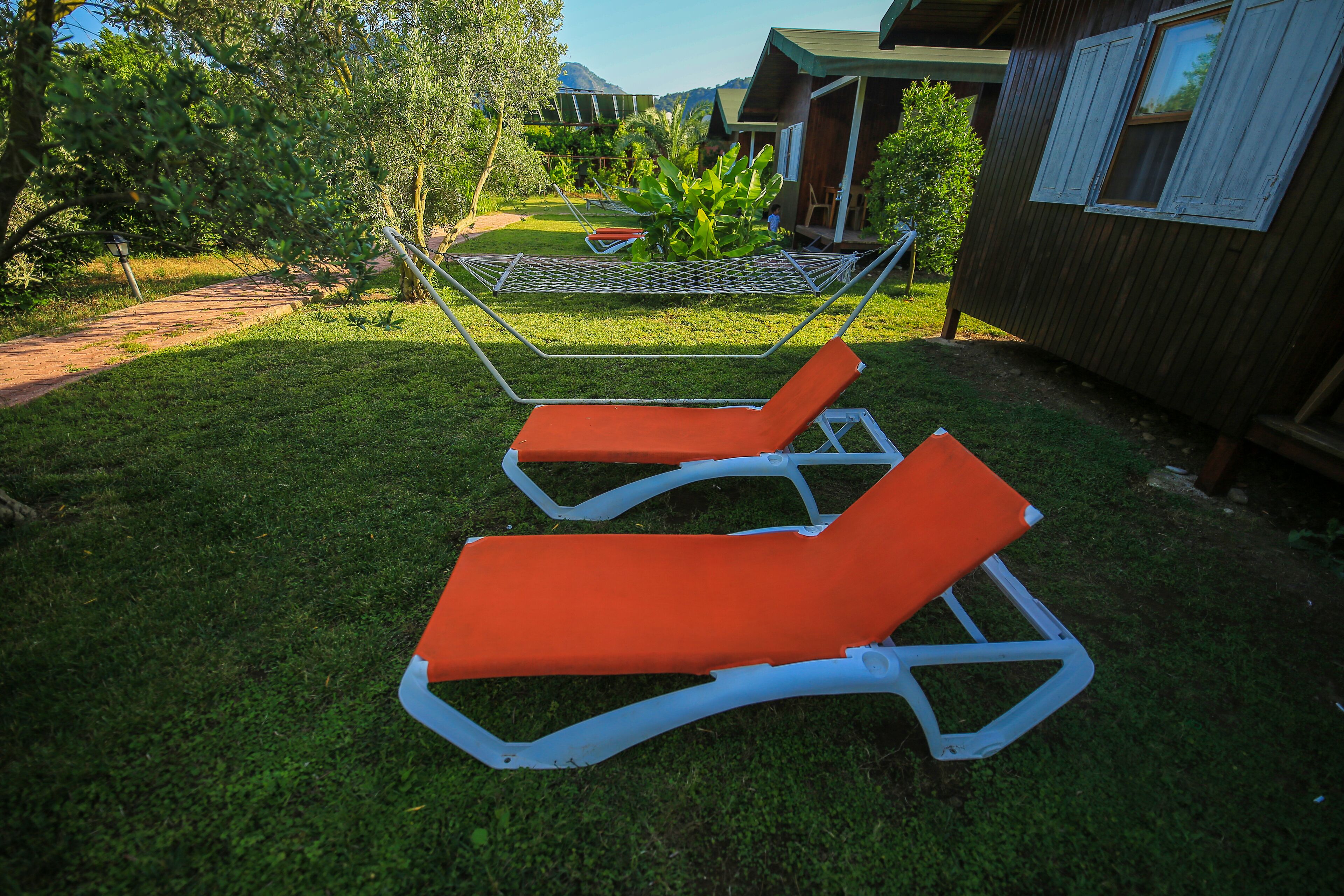 Two orange lounge chairs with white frames in a grassy outdoor area.