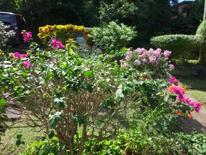 Garden - Springle's Quiet Place (St. George's)