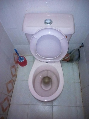 Regadera, amenidades de baño gratuitas, pantuflas, toallas 