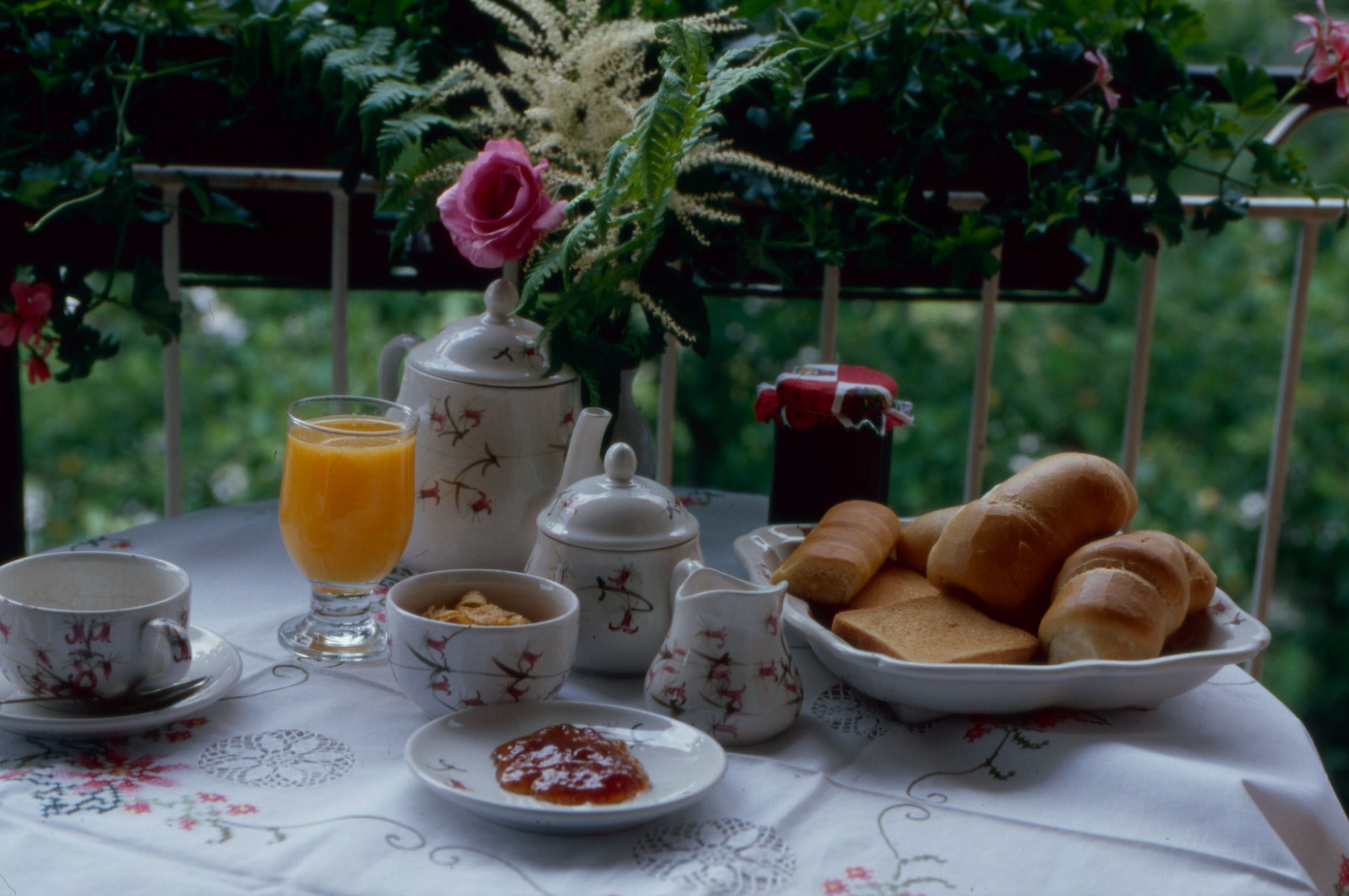 free daily continental breakfast