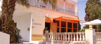 El Artista de Paraíso