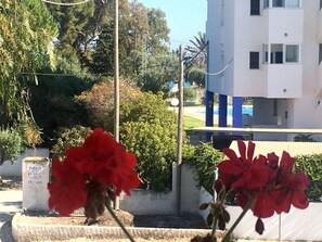 Vista da propriedade