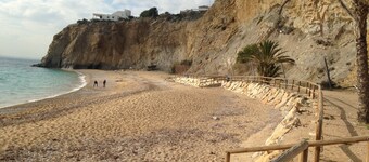 El Artista de Paraíso