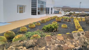 A modern white building with large windows and a cactus garden in front. - Mision Costa (La Oliva)