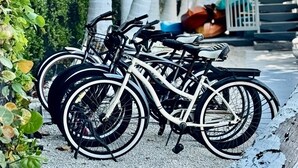 En cykel parkeret på en grusvej med udsigt til palmer og en bygning i baggrunden.
