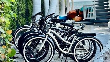 A bicycle parked on a gravel path with a view of palm trees and a building in the background.