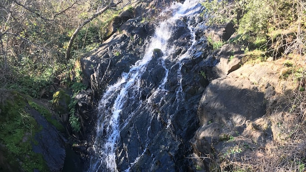 A waterfall cascading over dark rocks surrounded by dense greenery.