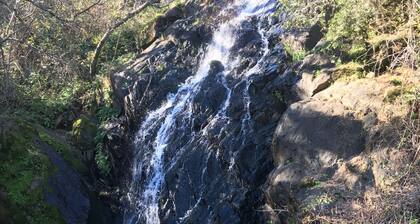 Kaunis mukautettu koti 1 hehtaarin maanalaisella bbq isolla pelillä.