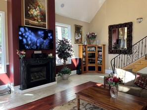 Smart TV, chimenea, reproductor de DVD y libros 