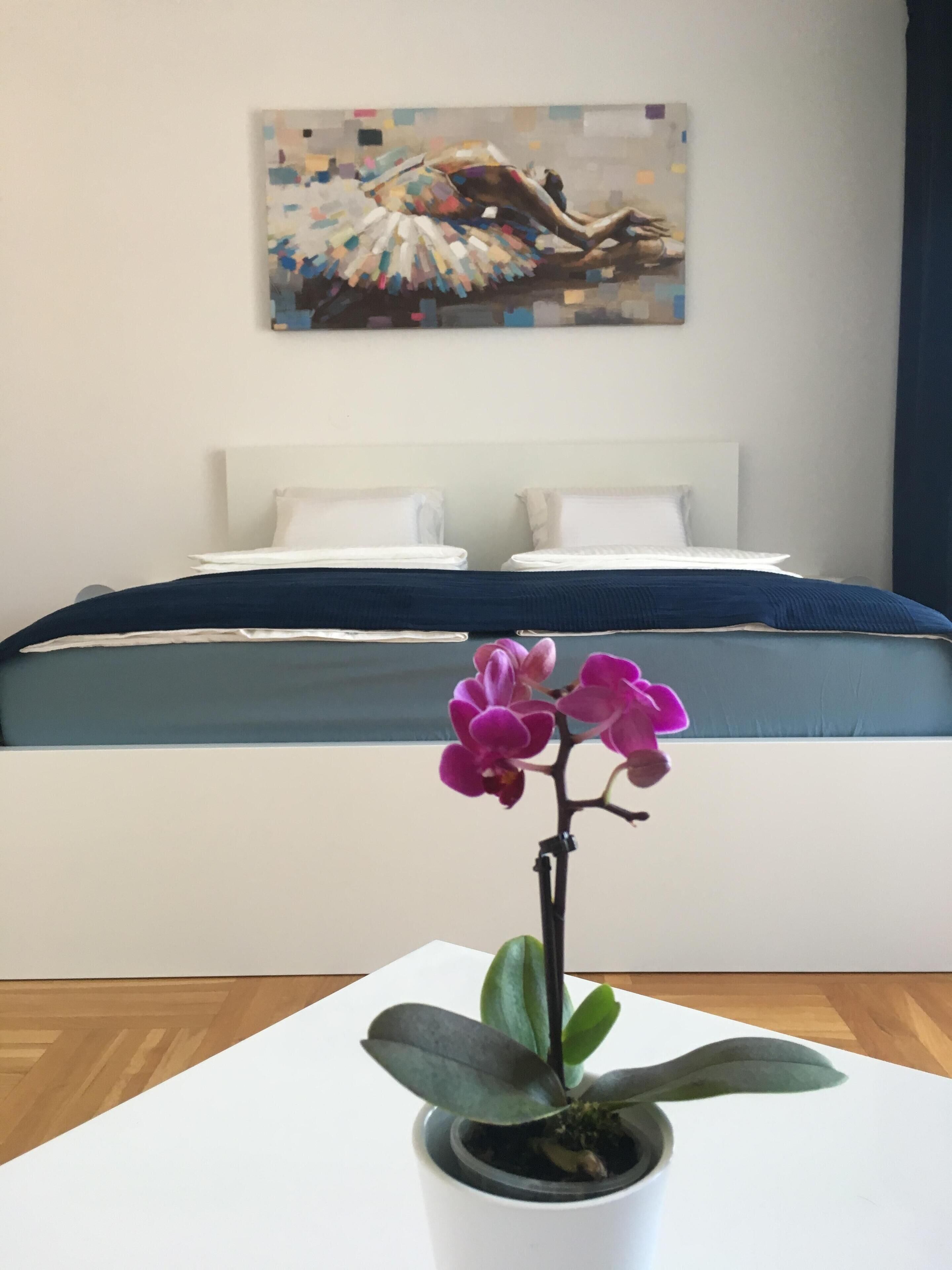 1 soverom og wi-fi (inkludert)