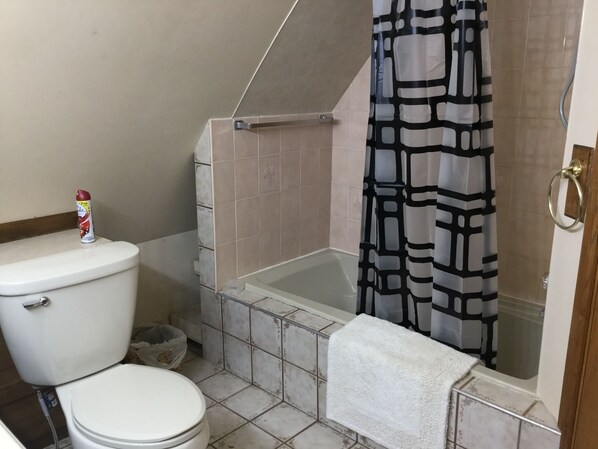 A bathroom with a toilet, a bathtub, and a shower curtain.