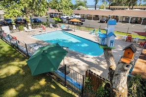 A swimming pool with lounge chairs and umbrellas, surrounded by a fence and trees. - Skylark Shores Resort (Lakeport)