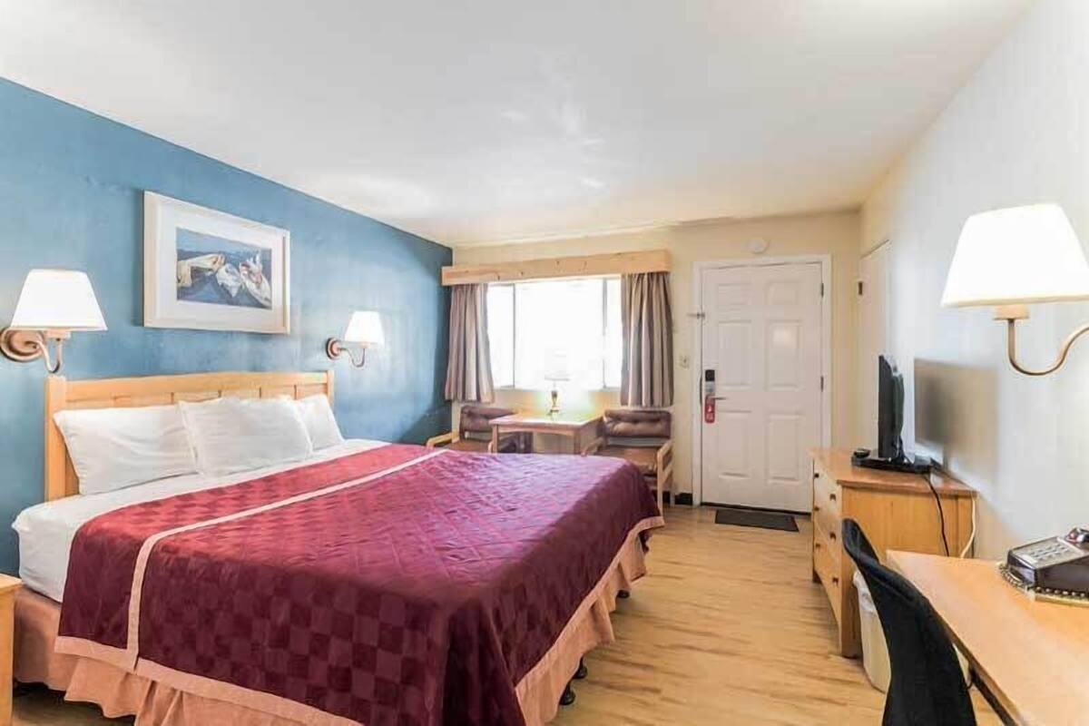 Habitación de hotel con una cama grande, un escritorio, una silla, un televisor y una ventana con cortinas.