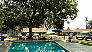 A swimming pool with lounge chairs and umbrellas, surrounded by trees and a parking area. - Skylark Shores Resort (Lakeport)