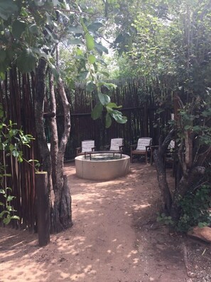 Property grounds - Lituba Place, your home for luxury, peace and adventure  (Marloth Park)