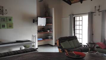 TV, fireplace, DVD player, books